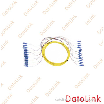 Sc 12 Cores Fan out Fiber Optic Pigtail/ Fibre Optical Pigtails